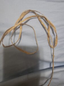 Raffia ribbon